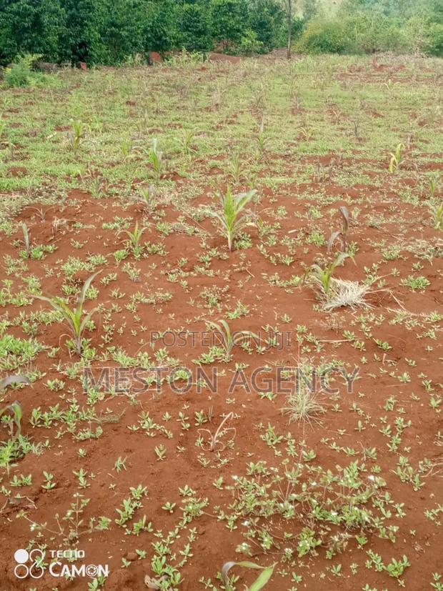2 Acres Prime Land in Kirinyaga