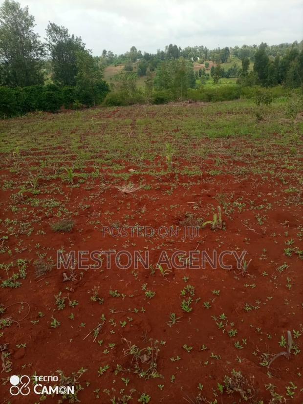 2 Acres Prime Land in Kirinyaga - thumbnail 3