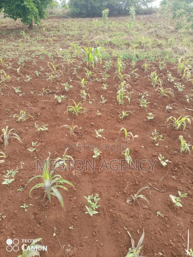 2 Acres Prime Land in Kirinyaga - thumbnail 4