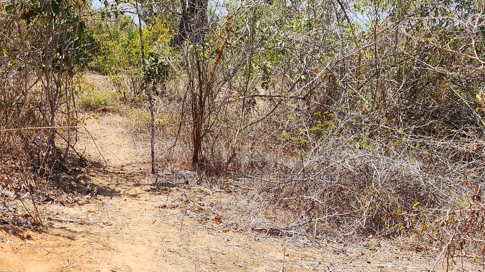 Plots for Sale (In Acres) at Kilifi Creek