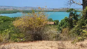 Plots for Sale (In Acres) at Kilifi Creek