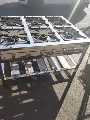 Stainless Steel Six Burner