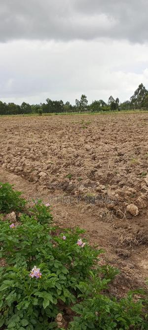 Land on Sale - thumbnail 2