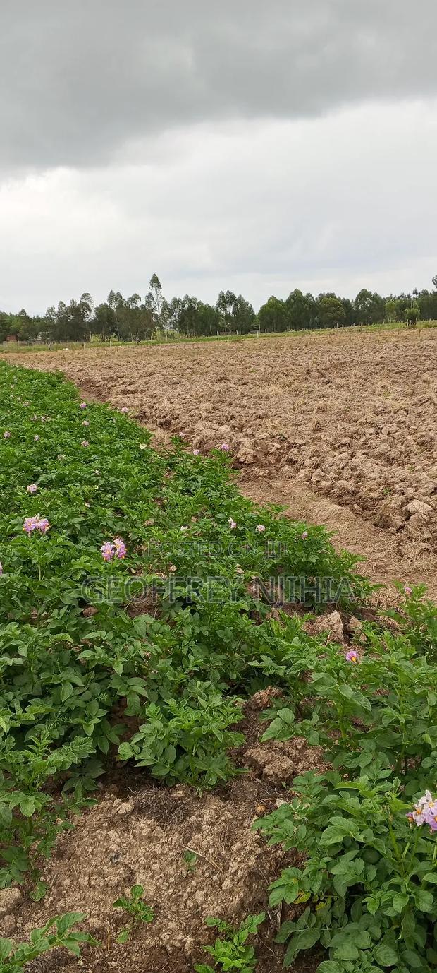 Land on Sale - thumbnail 4