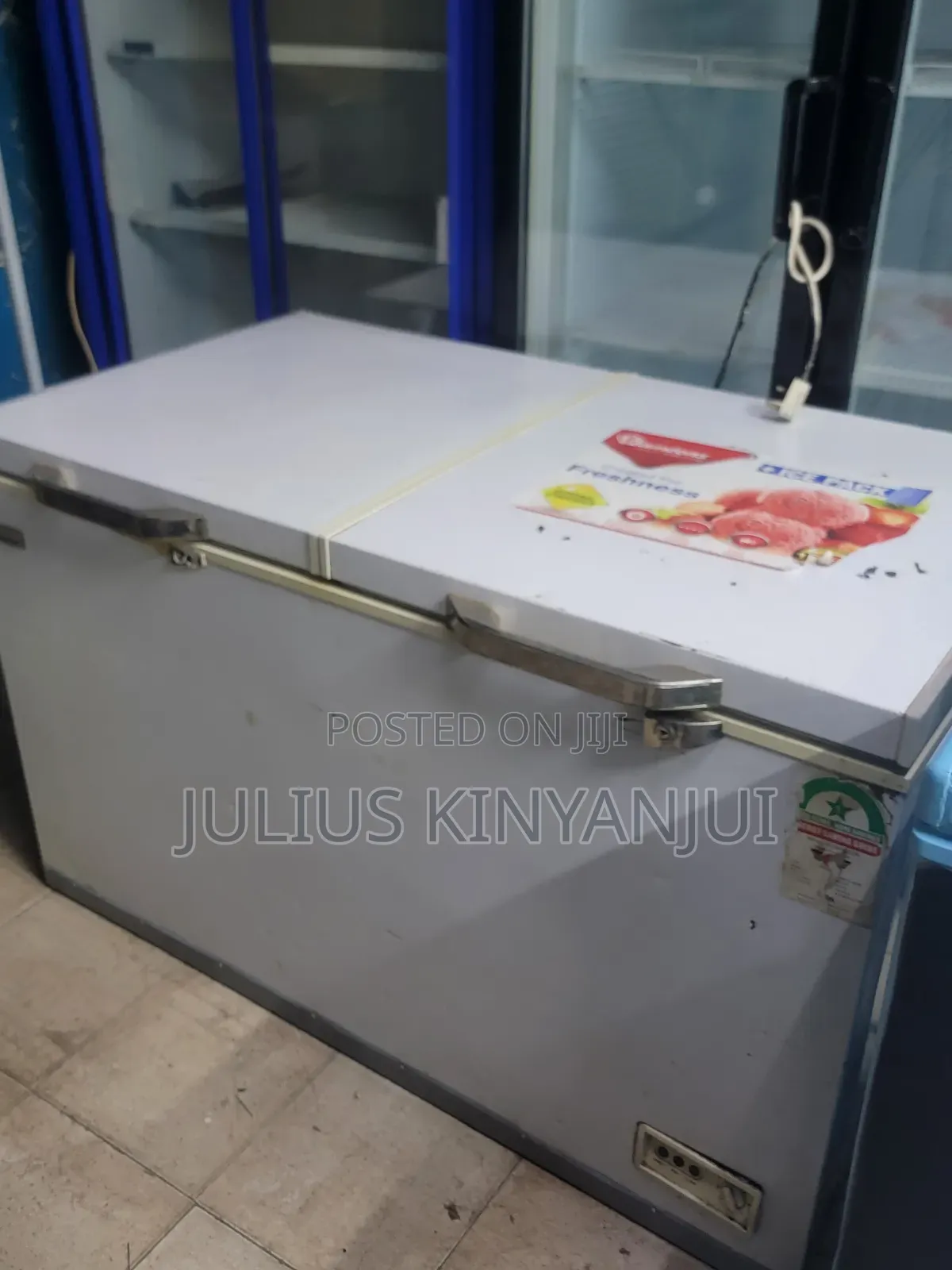 Two Doors Deep Freezer