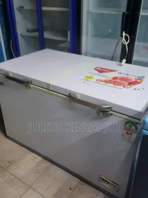 Two Doors Deep Freezer