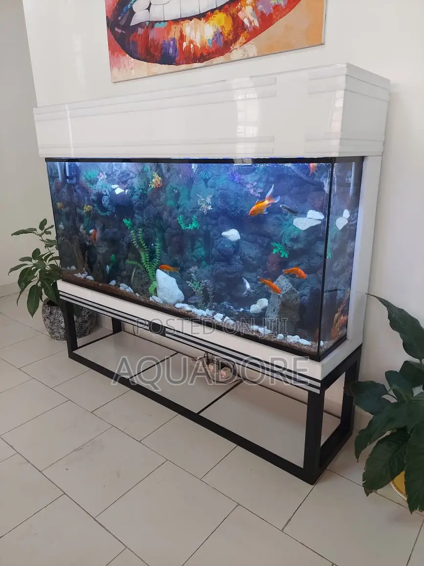 Stand Aquarium