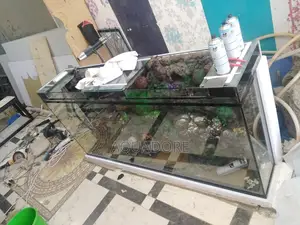 Stand Aquarium