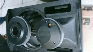 Tasso Audio High-Power Professional Pa Subwoofer Speaker
