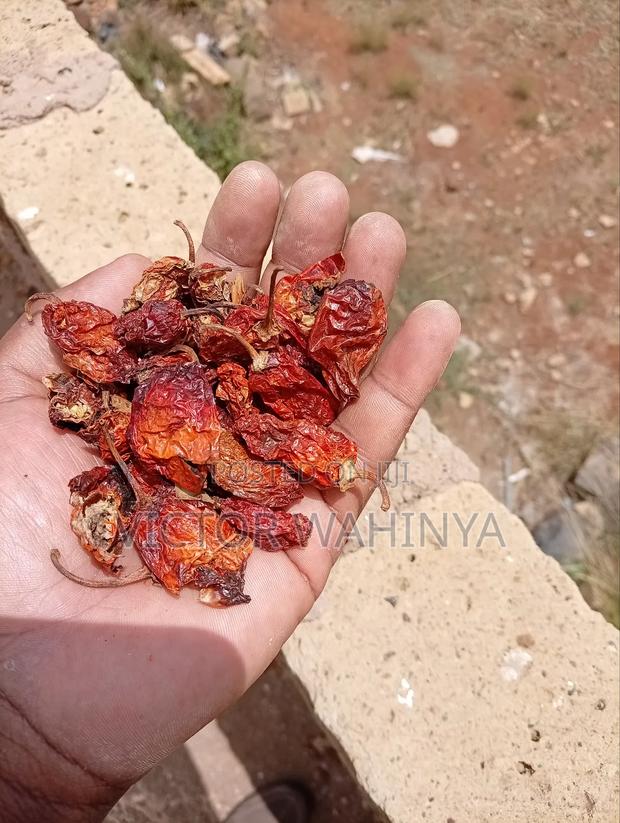 Dry Habanero Chilli Pepper - main view