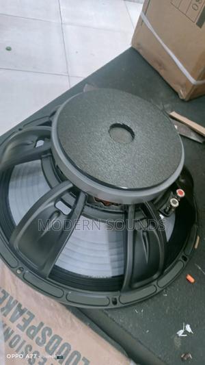 Derwell Professional Naked Speaker - thumbnail 2