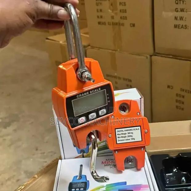 Heavy Duty 300kg Crane Scale - main view