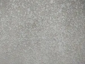 Wall Master Application and Painting