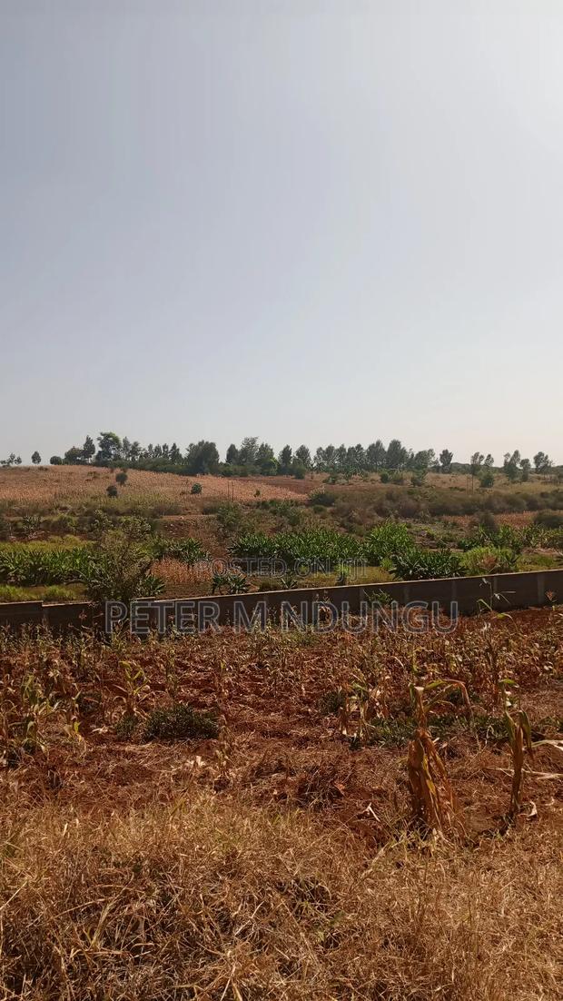 Prime Residential Plot, 50*100, Near Tatu City - main view