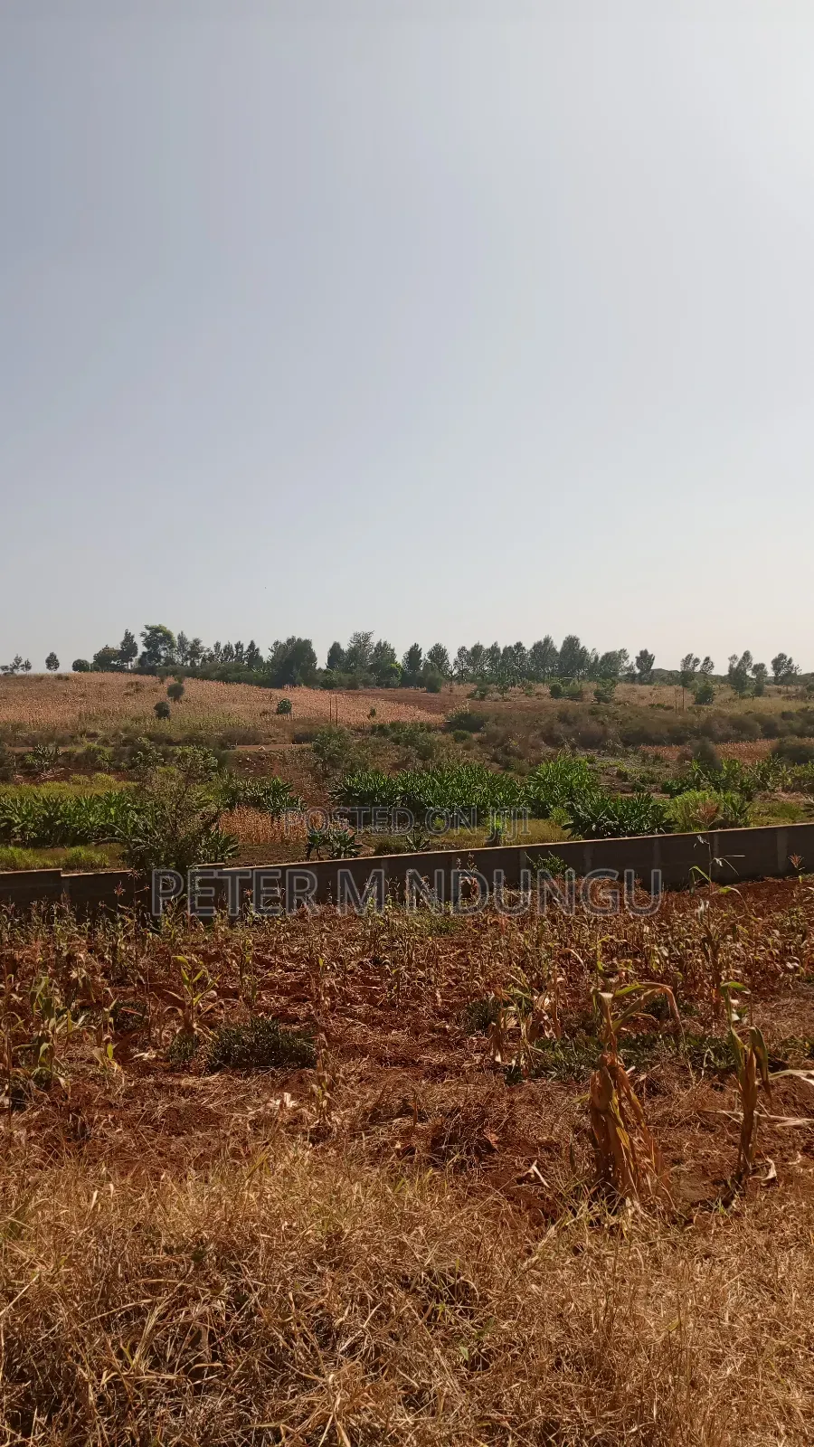 Prime Residential Plot, 50*100, Near Tatu City