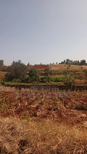 Prime Residential Plot, 50*100, Near Tatu City