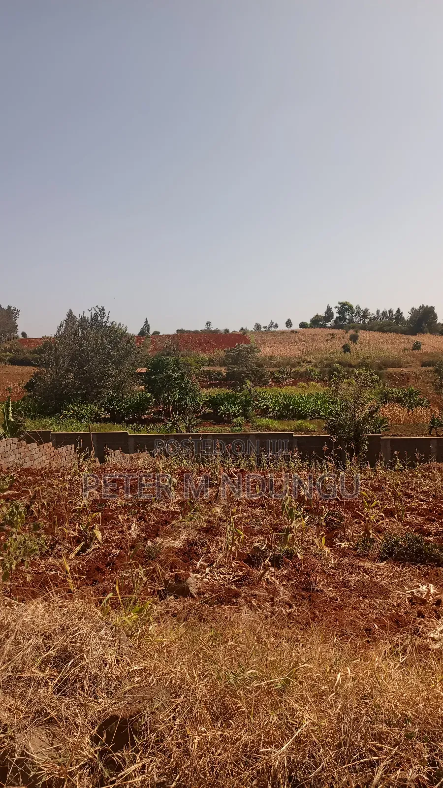 Prime Residential Plot, 50*100, Near Tatu City