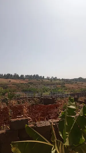 Prime Residential Plot, 50*100, Near Tatu City