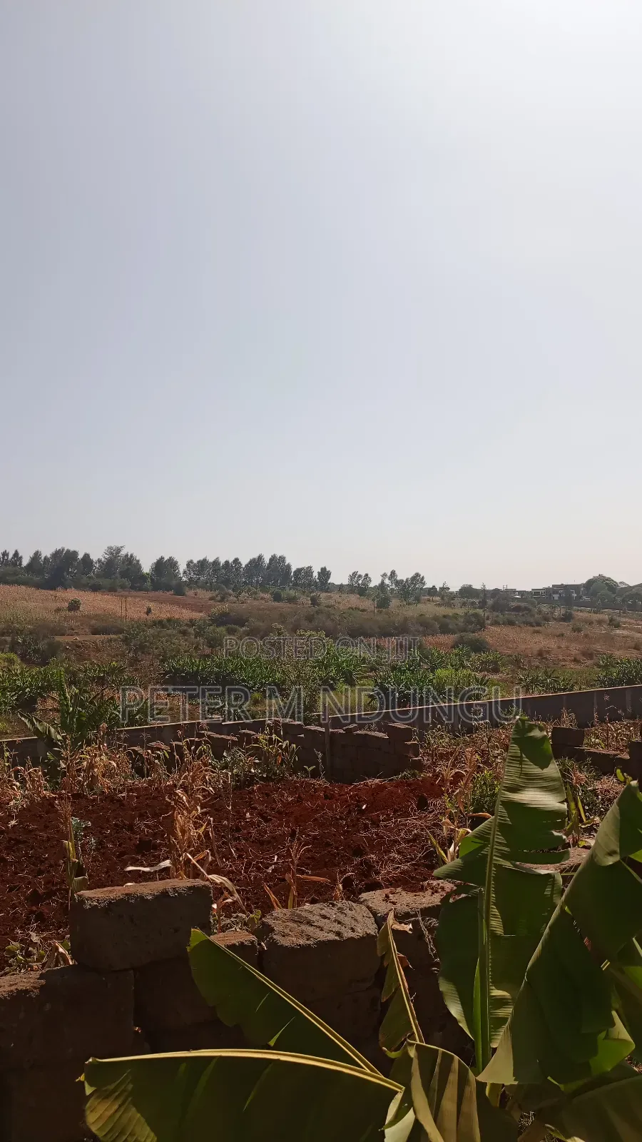 Prime Residential Plot, 50*100, Near Tatu City