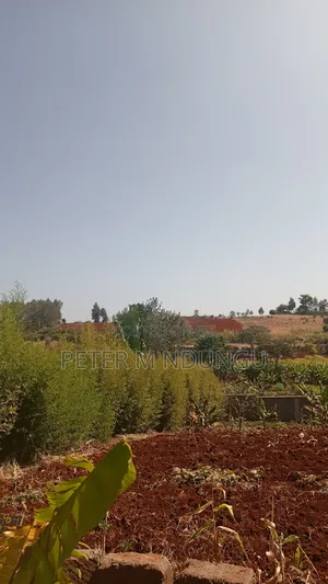 Prime Residential Plot, 50*100, Near Tatu City