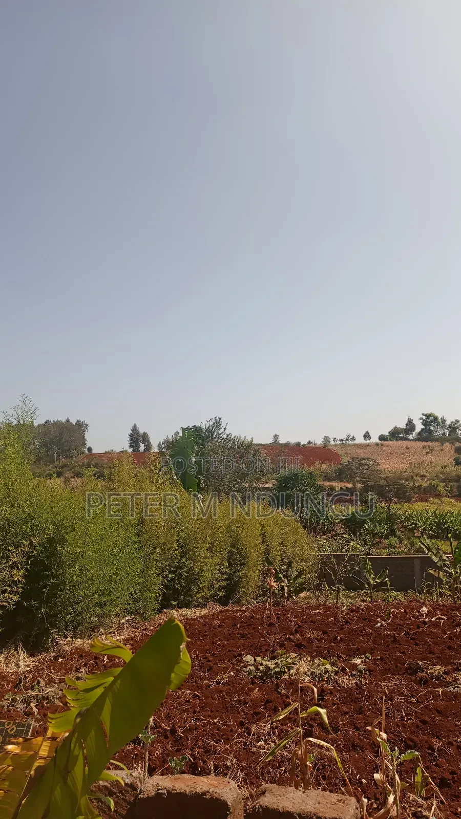 Prime Residential Plot, 50*100, Near Tatu City