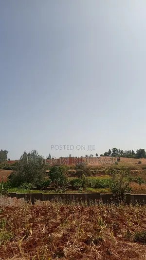 Prime Residential Plot, 50*100, Near Tatu City