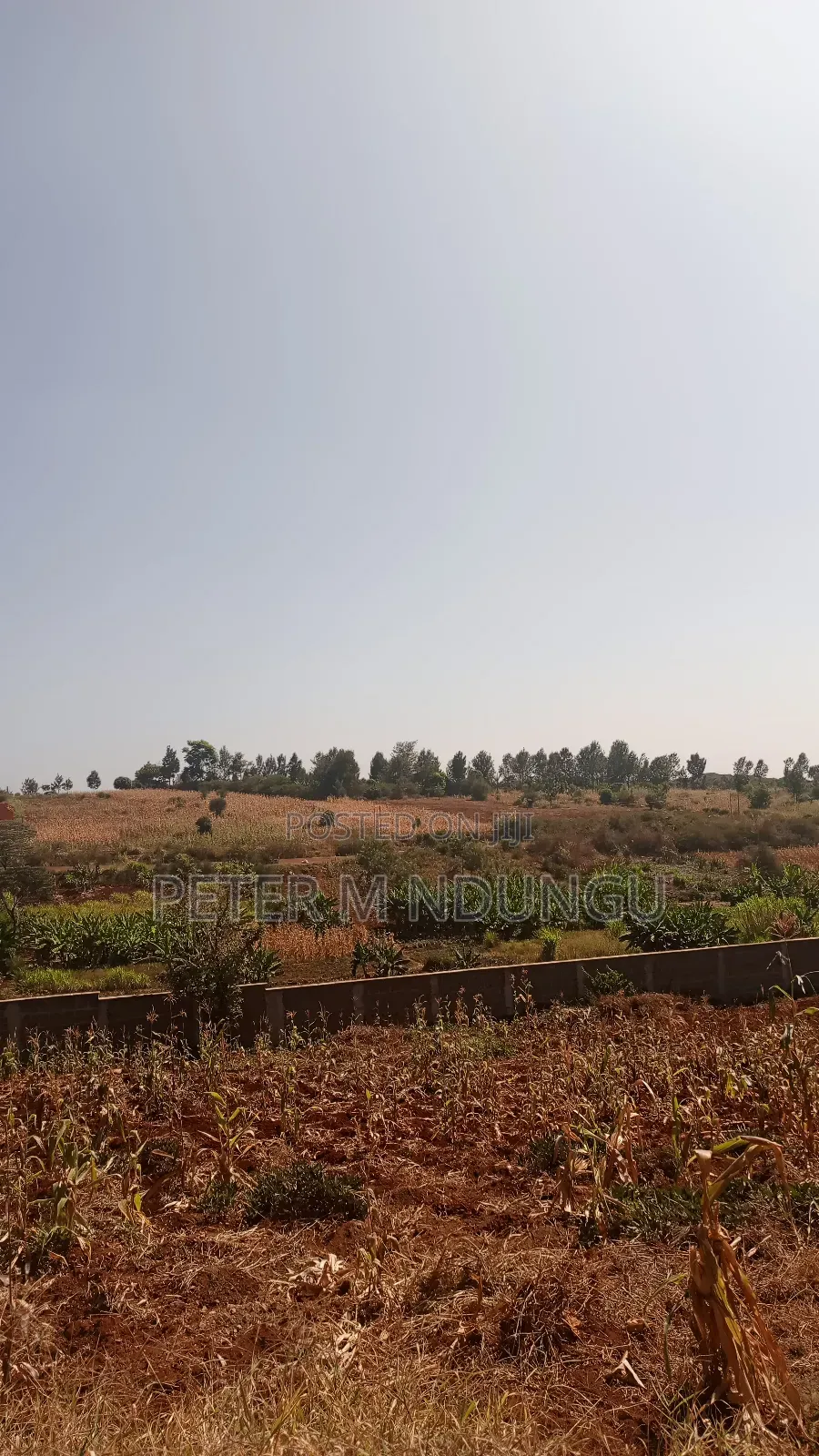 Prime Residential Plot, 50*100, Near Tatu City