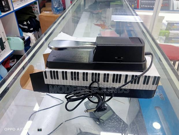 Universal Sustain Pedal - main view