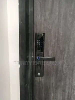 Biometric Smart Fingerprint Lock Smart Lock Door