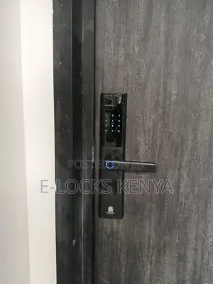 Biometric Smart Fingerprint Lock Smart Lock Door