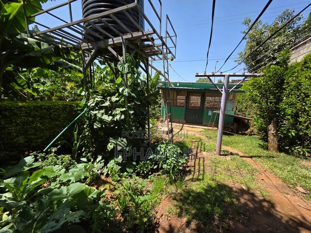 Muthaiga 4 Bedroom to Let - thumbnail 6