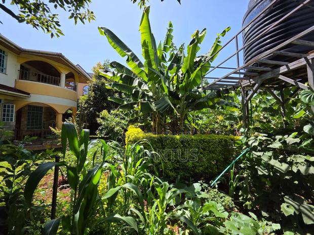 Muthaiga 4 Bedroom to Let - thumbnail 7