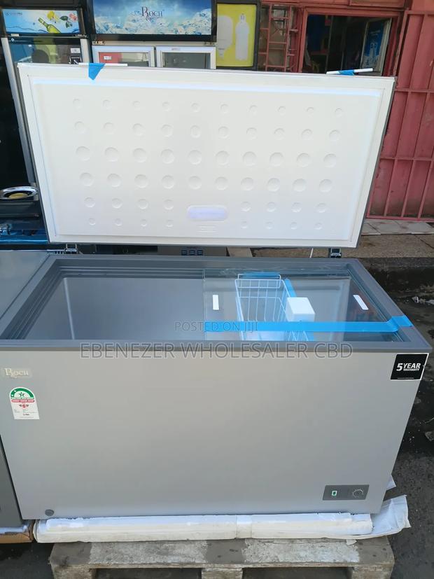 Roch Deep Freezer