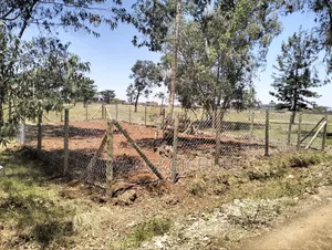 Residential Land in Tora/ Komo/ Ngoingwa - Behind Mangu High School