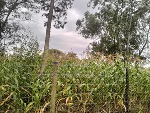 Residential Land in Tora/ Komo/ Ngoingwa - Behind Mangu High School