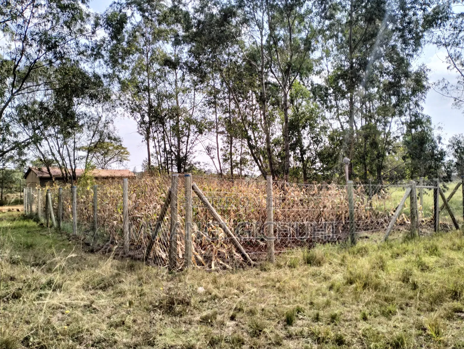 Residential Land in Tora/ Komo/ Ngoingwa - Behind Mangu High School
