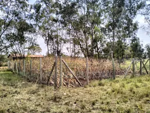 Residential Land in Tora/ Komo/ Ngoingwa - Behind Mangu High School