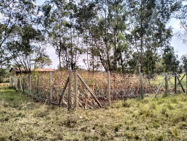 Residential Land in Tola/ Komo/ Ngoingwa - Behind Mangu High School - thumbnail 4