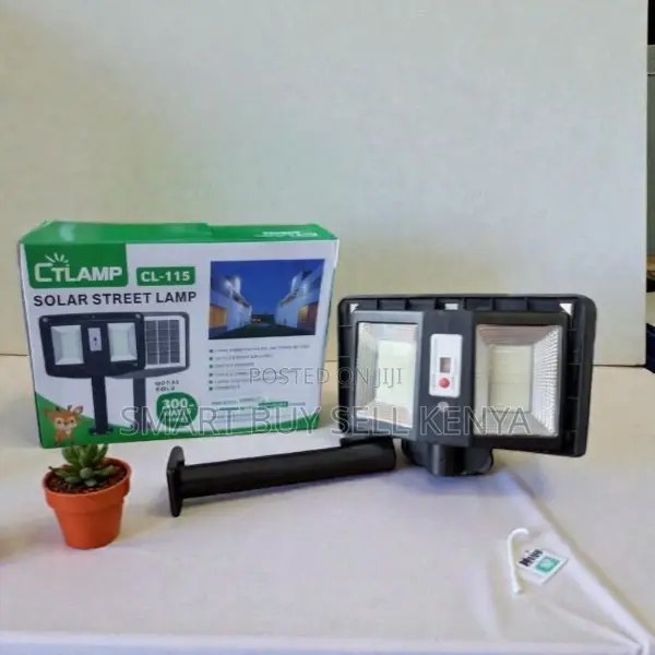 Ctlamp 300w Solar Street Light High Quality Body