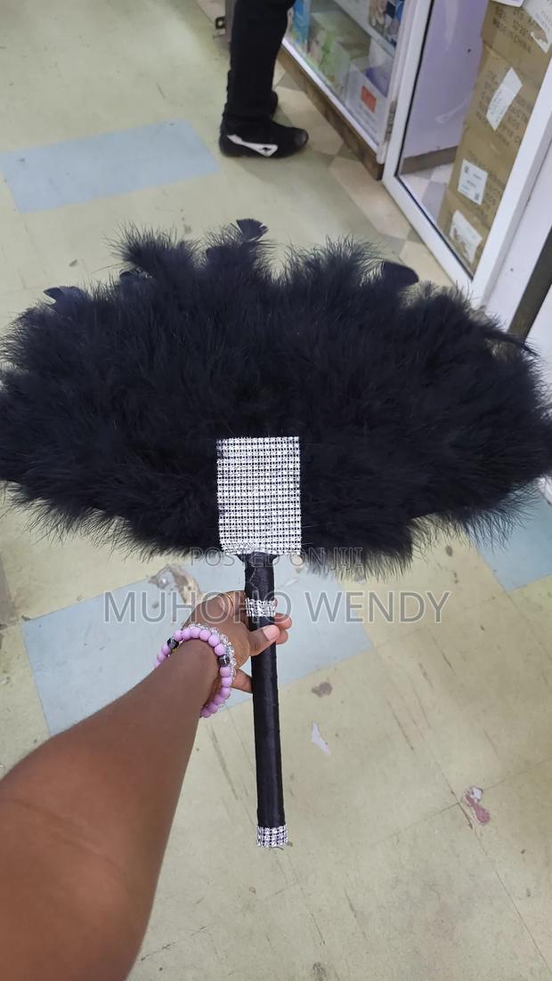 Black Feather Fan - main view