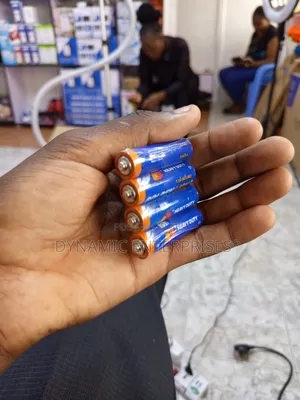 Golden Lion Heavy-Duty Batteries