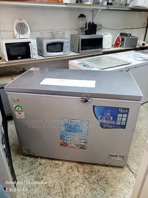 Roch Deep Freezer (Slightly Used)