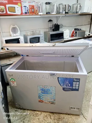 Roch Deep Freezer (Slightly Used)