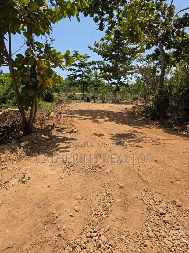 1/8 Acres in Diani 700m From Beach - thumbnail 4