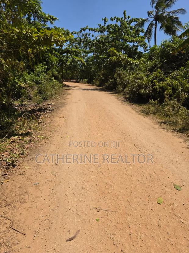 1/8 Acres in Diani 700m From Beach - thumbnail 5