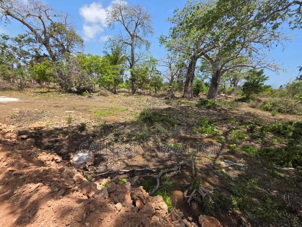 1/8 Acres in Diani 700m From Beach - thumbnail 6