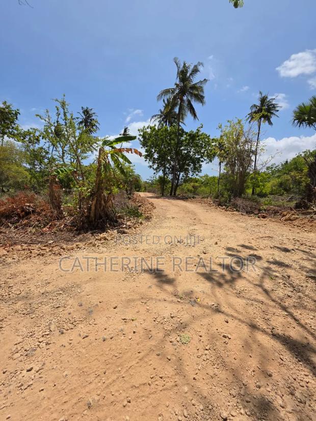 1/8 Acres in Diani 700m From Beach - thumbnail 9