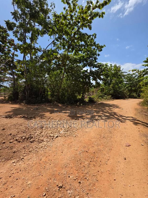 1/8 Acres in Diani 700m From Beach - thumbnail 11