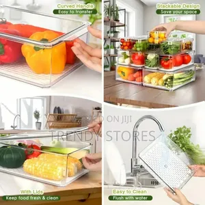Fridge Storage Container