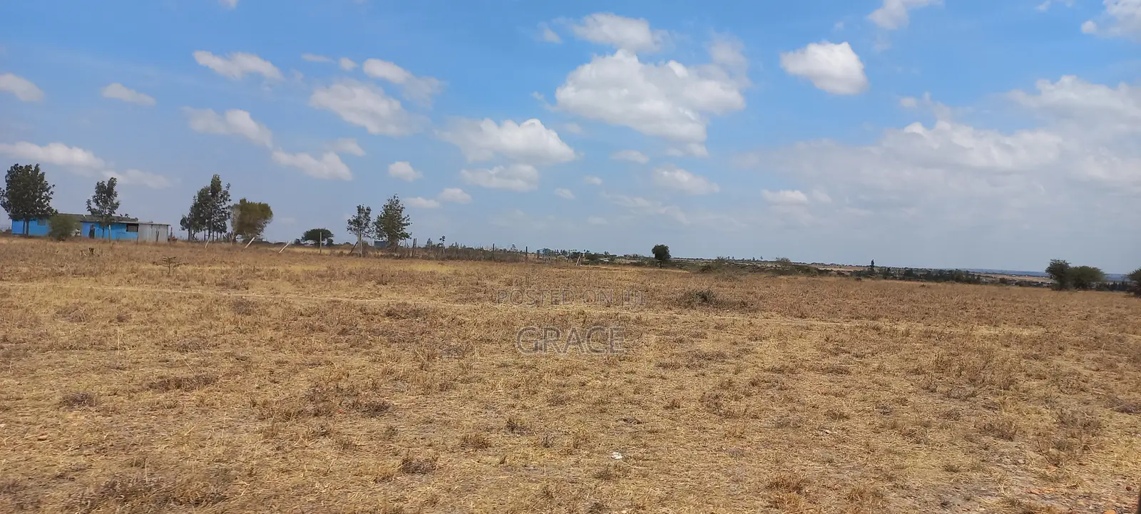 Prime 50x100 Plot in Konza